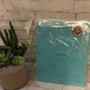 Tiffany & Co. Turquoise Shopping - Gift Bag New-